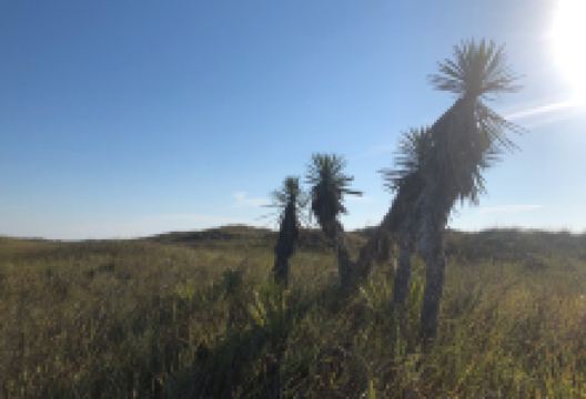 Grasslands Nature Trail景点图片