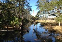 Guana Tolomato Matanzas National Estuarine Research Reserve景点图片