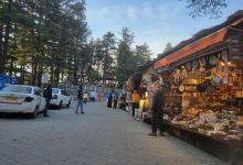 Indira Tourist Park景点图片