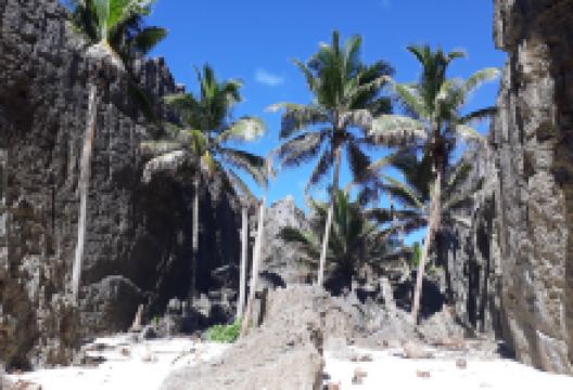 Togo Chasm景点图片