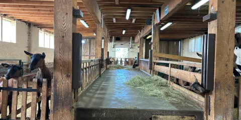 La Chevrerie du Brabant