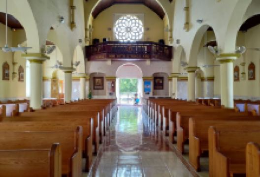 Immaculate Conception Co-Cathedral Catholic Church景点图片