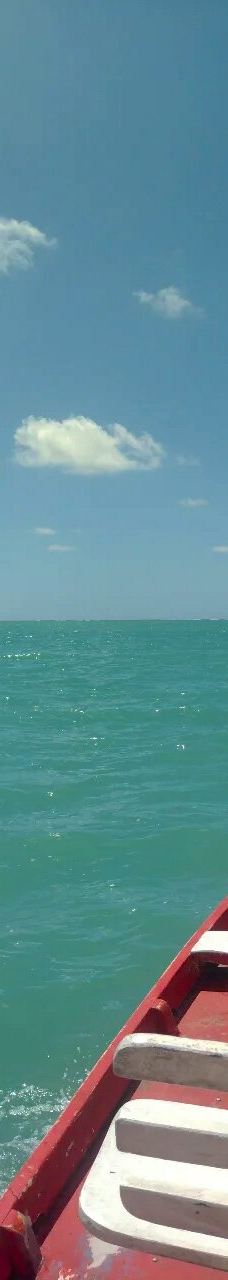 Piscinas Naturais de Pajucara-马塞约