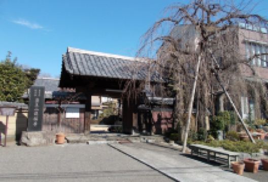 龙福寺景点图片