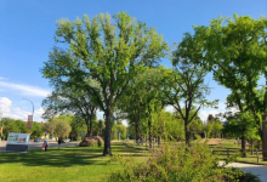 Nutrien Playland at Kinsmen Park景点图片