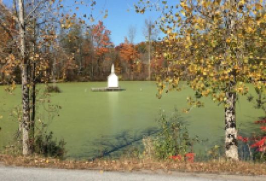 Mason's Pond - The world's smallest Church景点图片