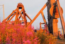 Old Lexington Gardens景点图片