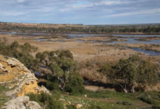 Sunnyside Reserve景点图片
