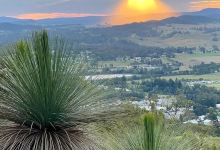 Daleys Fruit Tree Nursery景点图片