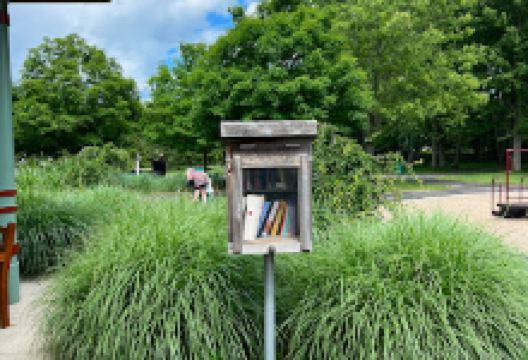 Library Park景点图片