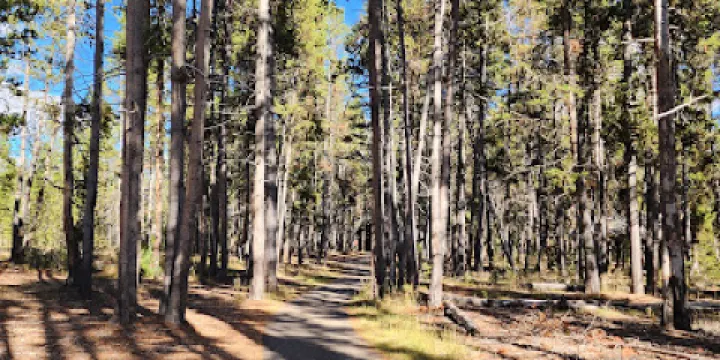 Fishing Bridge - Visitor Center
