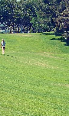 Doris Walker Overlook-达纳点