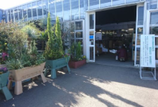 Saitamaengeioroshi Center购物图片