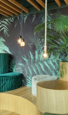 Olivia Star-格但斯克