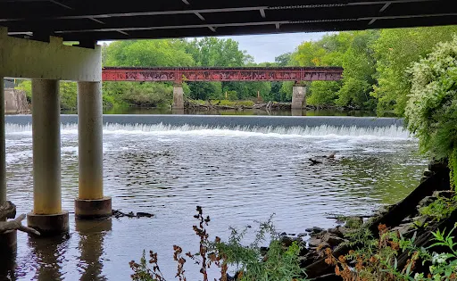 Perkins Park