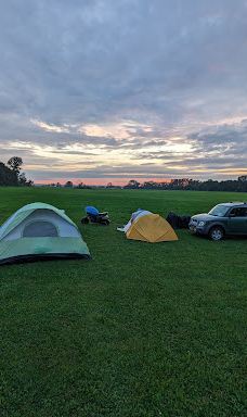 Campbell’s Bay Campground-斯旺顿