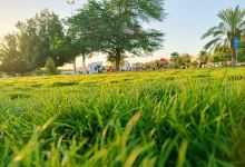 Alamn Park景点图片