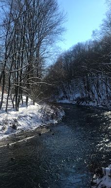 Stadt Park-开姆尼茨