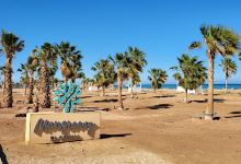 Mangroovy Beach景点图片