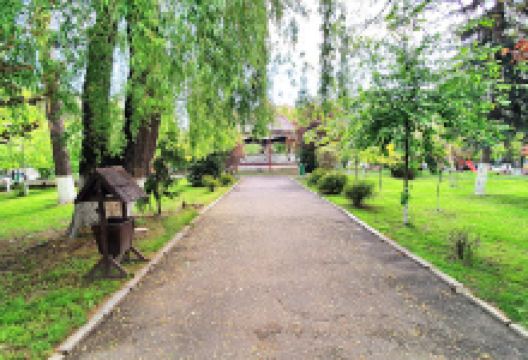 Parcul Orășenesc景点图片