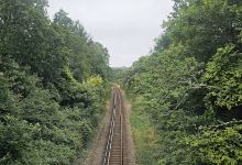Knowle Walking Trail. (Fareham)景点图片