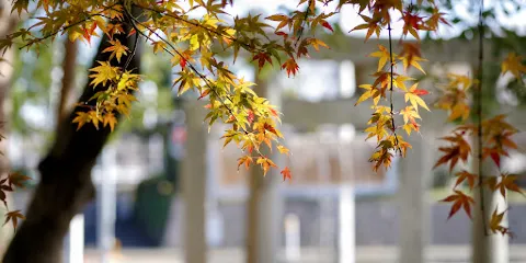 Hashimoto Hachimangu