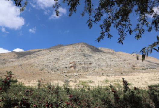 Our Lady of Bkoufa (Saydet Bkoufa)景点图片