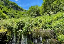 Natural sparkling spring景点图片