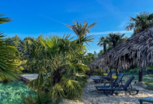 Teeninga palmen购物图片