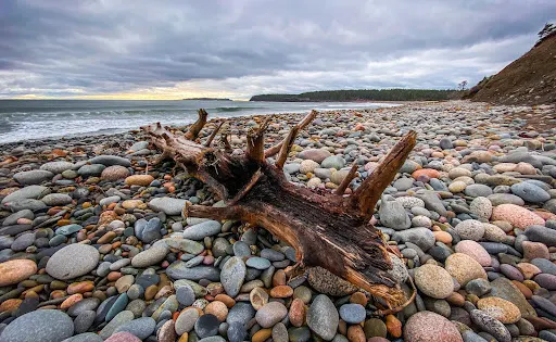 Hirtle's Beach