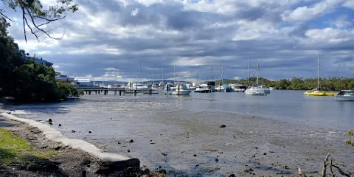 Koala Reserve Mangrove Boardwalk