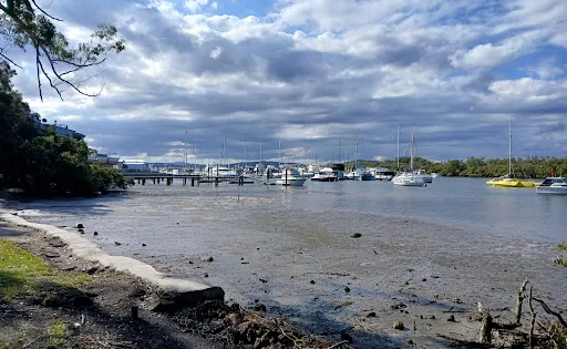 Koala Reserve Mangrove Boardwalk