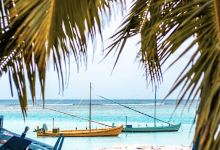 ビレファヒ景点图片