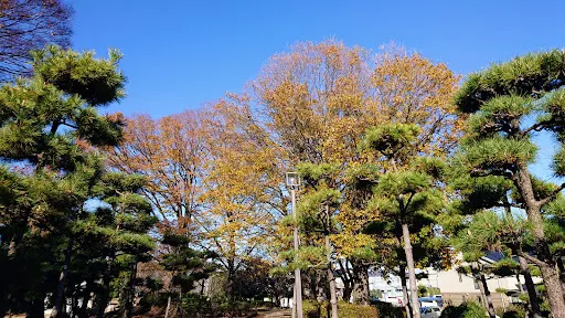 湘南台公園