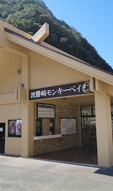 Hagachizaki Monkey Bay-南伊豆町