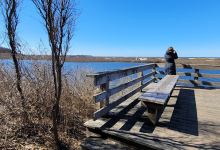 Inlet Pond County Park景点图片