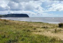 Wynyard Foreshore Market购物图片
