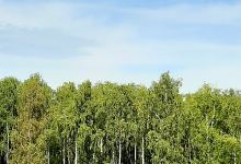 Klenovaya Gora Respublika Mari El景点图片