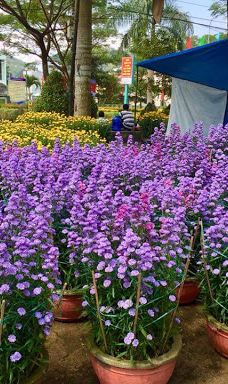 công viên Di Lăng-山河县