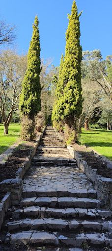 Maroondah Reservoir Park-希尔斯维尔