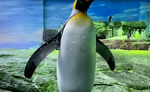 島根縣立水族館
