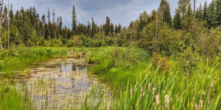 喬治·希克斯社區公園
