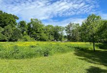 Spring Valley Nature Preserve景点图片