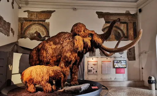 Civico Museo Archeologico di Bergamo