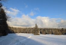 Freilandmuseum Grassemann Naturpark-Infostelle景点图片