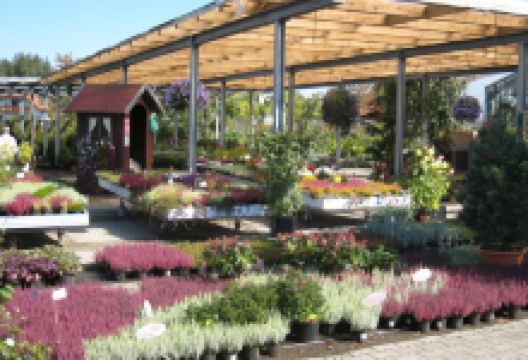 Gärtnerei Ehrhardt购物图片