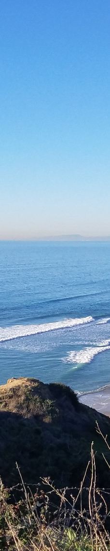 多利松国家自然保护区-佐拉