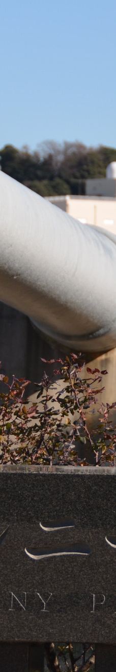 Verny Park-横须贺市