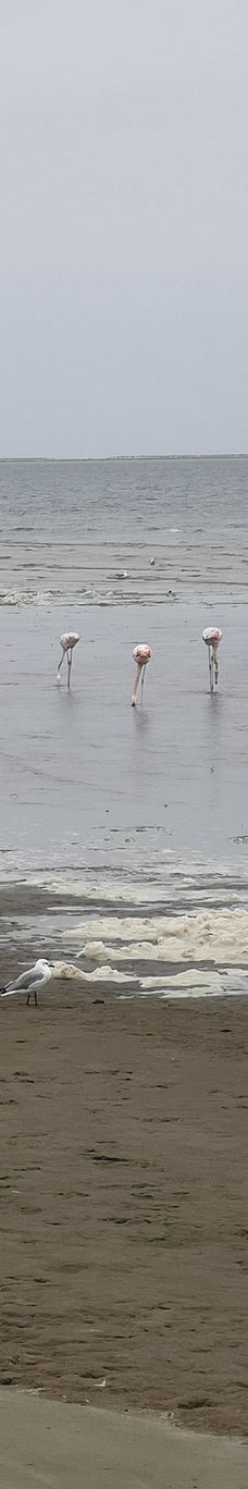 长滩休闲公园-Langstrand