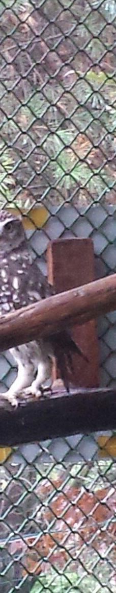 Zoo Kosice-科希策1区